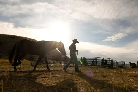 Meet the US Women Ranchers Redefining Modern Ranching